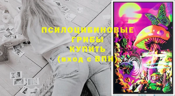 дмт Балахна