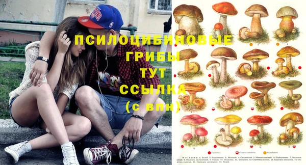 а пвп мука Ростов