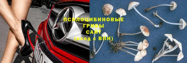 соль курить ск Рославль